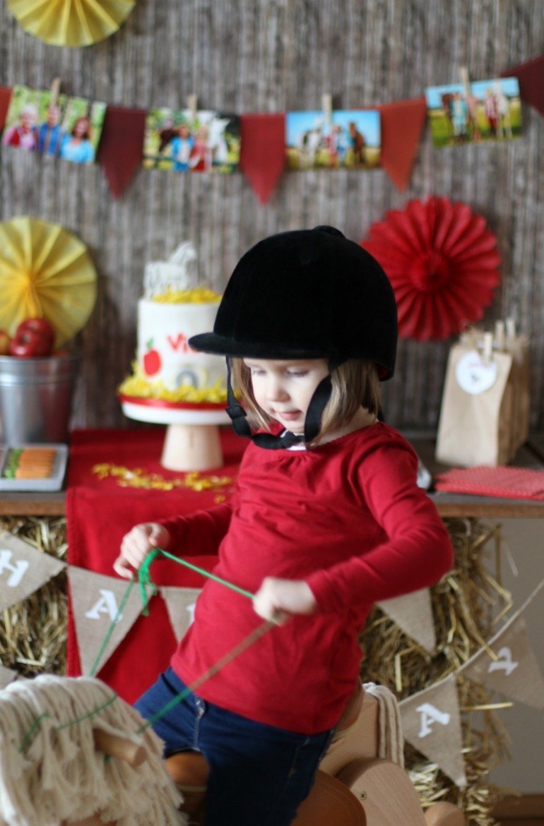 Eine Pfede-Kinder-Geburtstag mit Bibi und Tina - tolle Dekoideen, Kuche, Torte, Kekse und Spiele