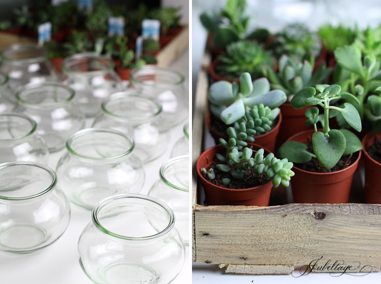 Mini Garten als Gastgeschenk in der Farbe Greenery 