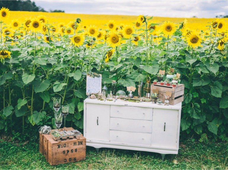Sonnenblumen und Sukkulenten: Eine tolle Idee zur sommerlichen Dekoration für Feste im Freien