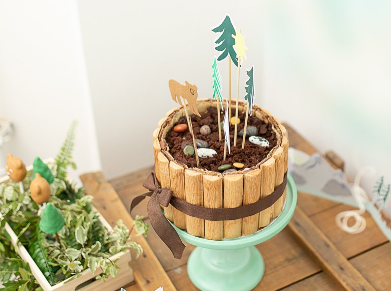 Super einfache Geburtstagstorte mit Baumrindenoptik und DIY für ein Marshmallow-Tipi perfekt für einen Abenteuer- oder Entdecker-Geburtstag